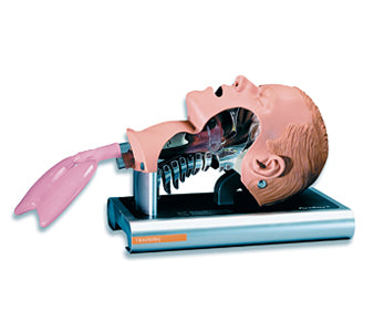 Ambu®  Airway Management Trainer
