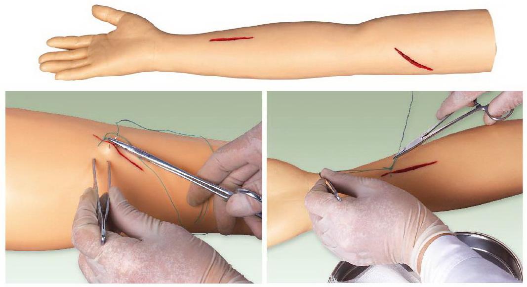 ADVANCED SUTURE PRACTICE ARM (SOFT)