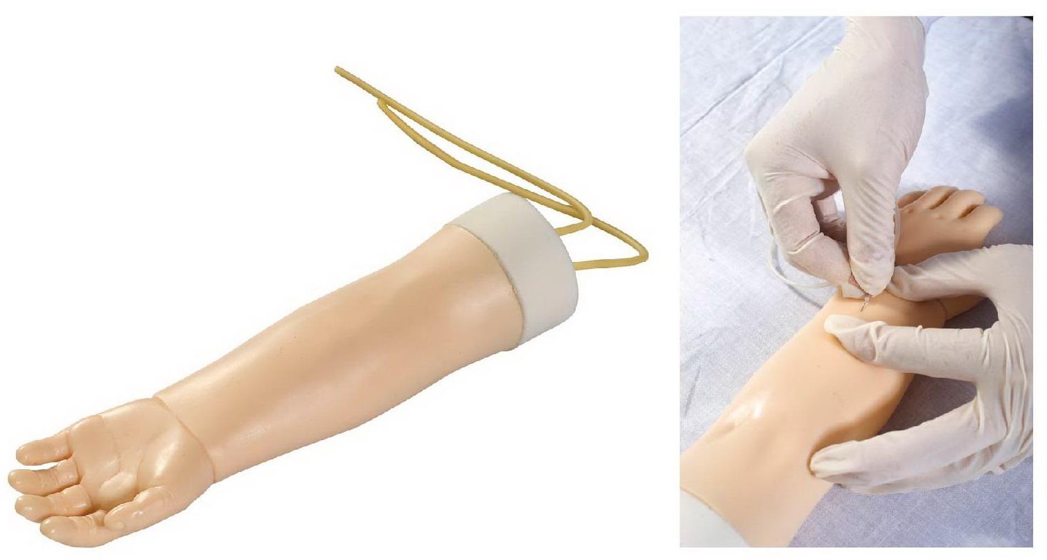 CHILD VENIPUNCTURE ARM (SOFT)