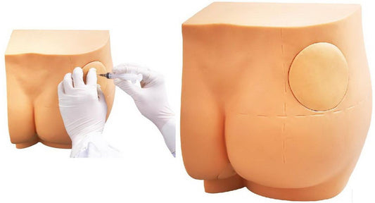 BUTTOCKS INTRAMUSCULAR INJECTION SIMULATOR (SOFT)