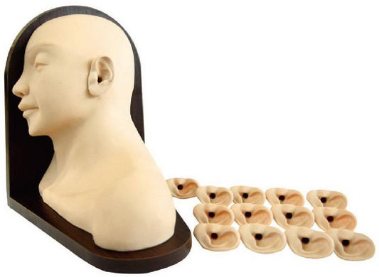 ADVANCED EAR INSPECTION SIMULATOR (SOFT)