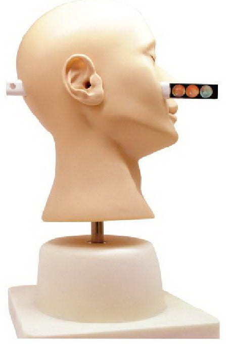 ADVANCED EAR DIAGNOSTIC SIMULATOR (SOFT)