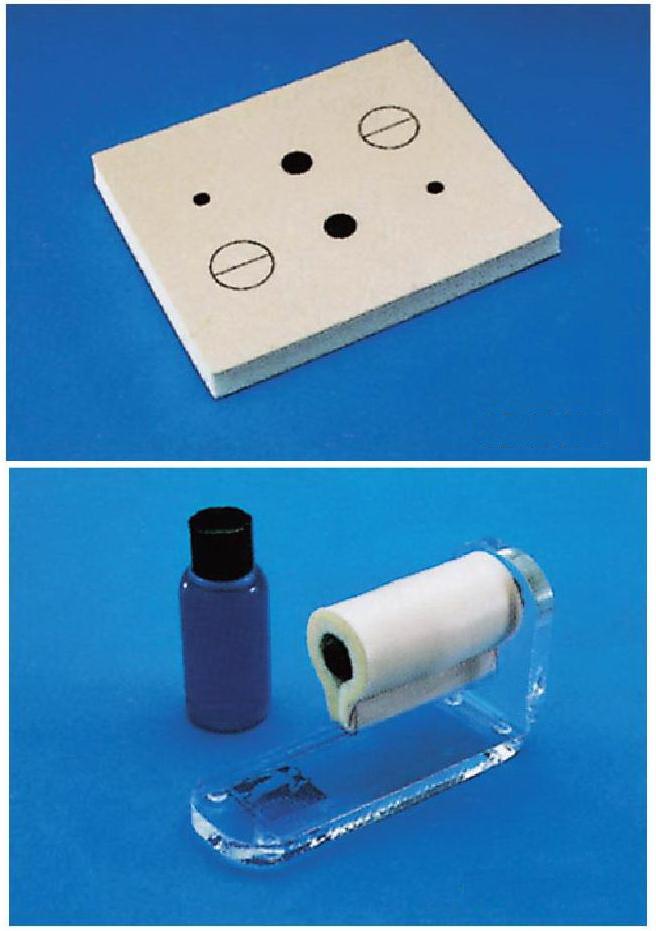 LOCAL ANESTHESIA TRAINING KIT (SOFT) MOL119