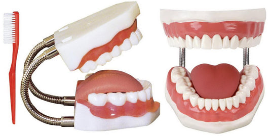 TOOTH HYGIENE SET WITH TOOTH BRUSH