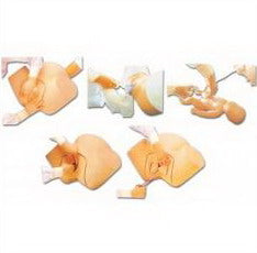 ADVANCED CHILDBIRTH COMPREHENSIVE SKILL TRAINING SIMULATOR (SOFT)