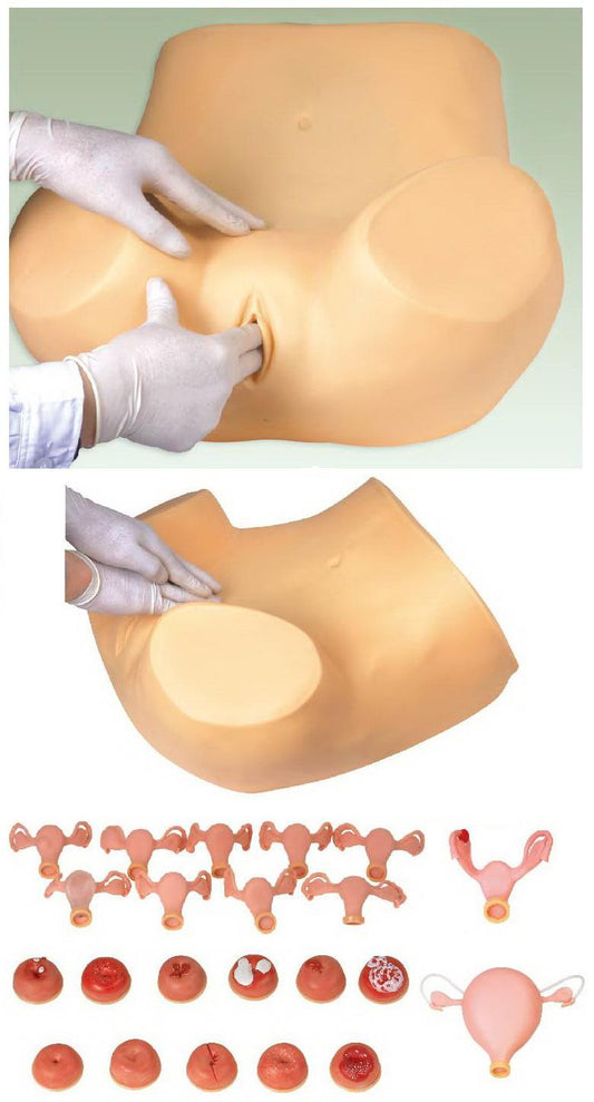 GYNECOLOGICAL TRAINING SIMULATOR (SOFT)