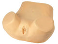 GYNECOLOGICAL TRAINING MODEL (SOFT)