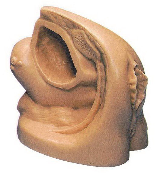 ADVANCED FEMALE CATHETER MODEL (SOFT)