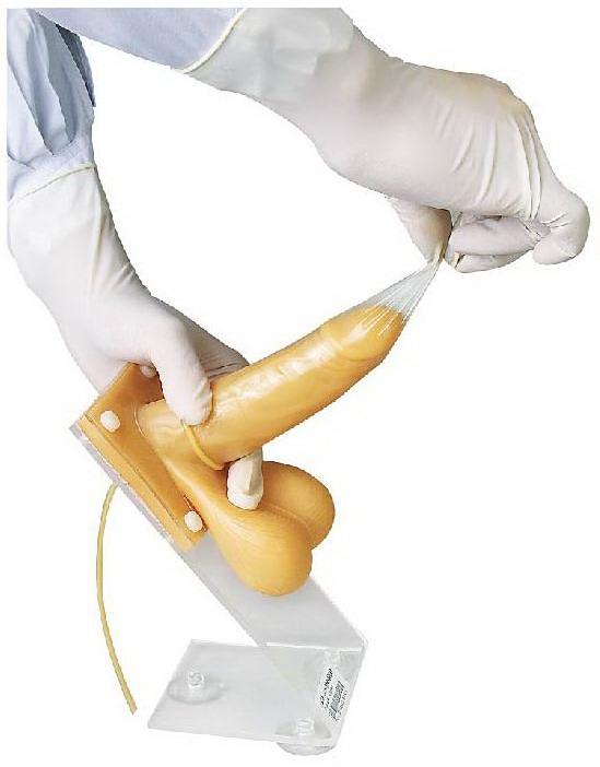CONDOM WEARING TRAINING SIMULATOR (SOFT)