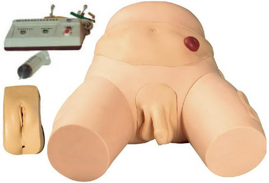ELECTRONIC UNISEX URETHRAL CATHETERIZATION SIMULATOR (SOFT)