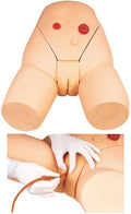 ADVANCED FEMALE URETHRAL CATHETERIZATION SIMULATOR