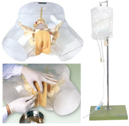 TRANSPARENT ADVANCED MALE URETHERAL CATHETERIZATION SIMULATOR