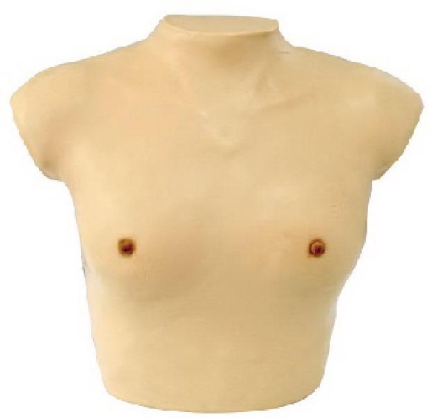 BREAST EXAMINATION SIMULATOR (SOFT)