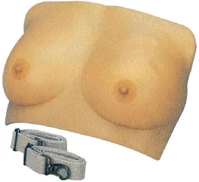 INSPECTION & PALPATION OF BREAST CANCER TRAINING (SOFT)