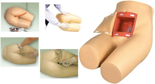 ENEMA & ASSISTED DEFECATION TRAINING SIMULATOR (SOFT)