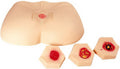 ATL-01 STAGE DECUBITUS CARE SIMULATOR (SOFT)