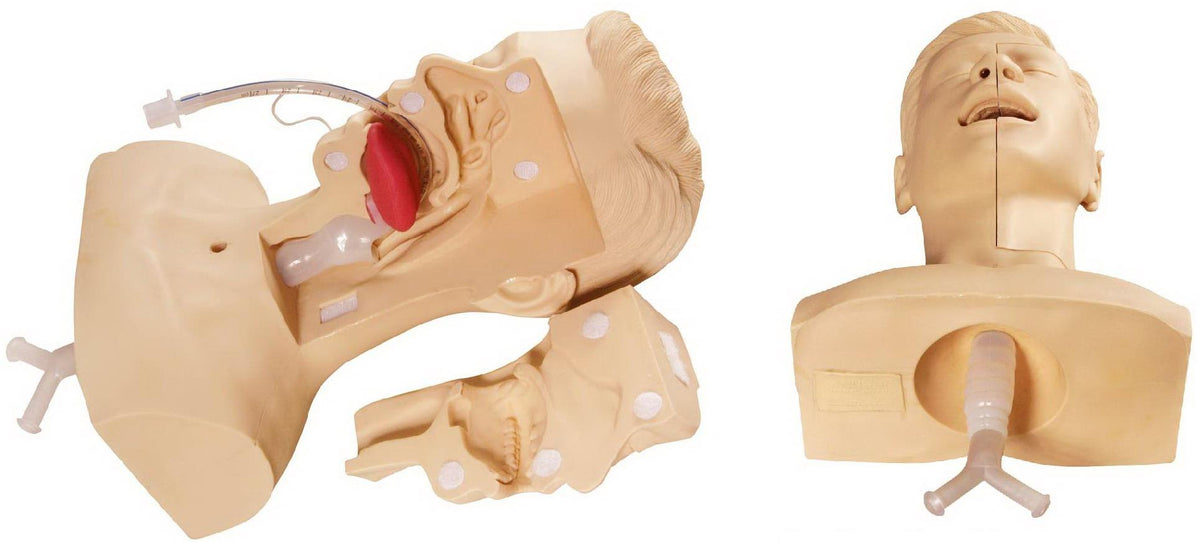 ADVANCED SUCTION TRAINING MODEL (SOFT)