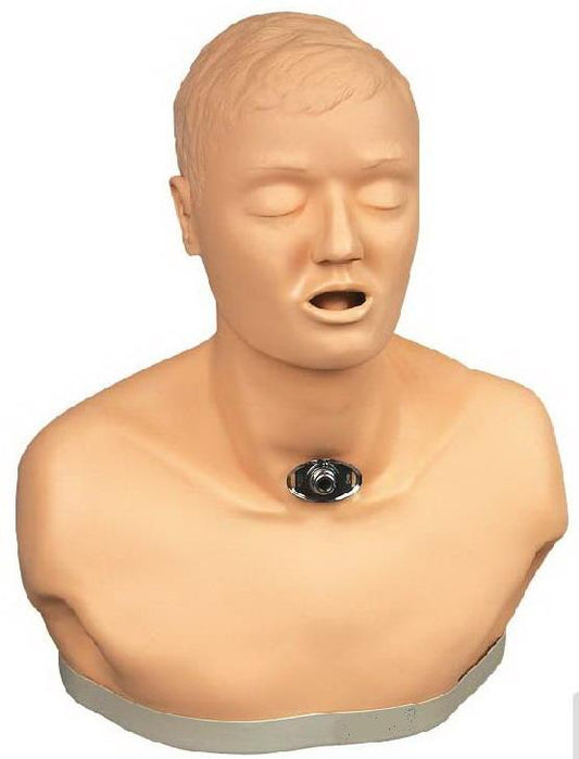 ADULT TRACHEOTOMY CARE SIMULATOR (SOFT)