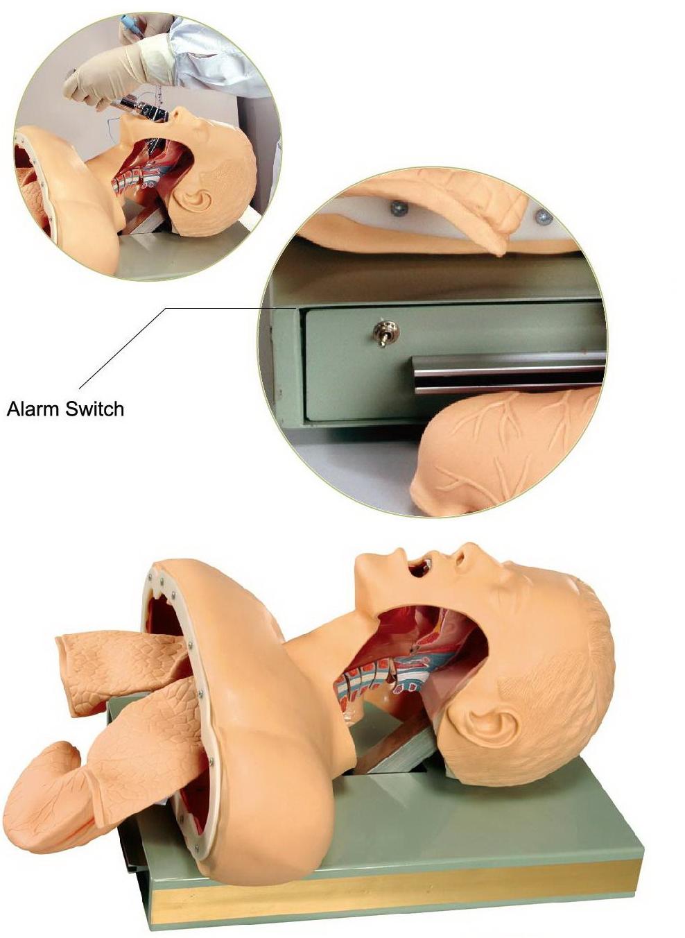ADVANCED AIRWAY INTUBATION TRAINING SIMULATOR (SOFT)