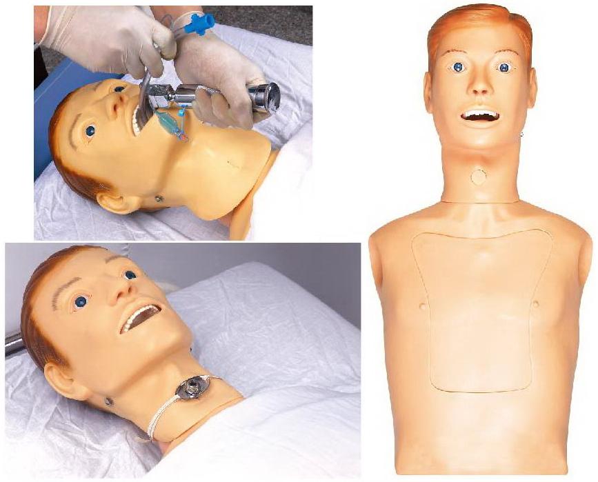 NASOGASTRIC FEEDING & TRACHEA INTUBATION CARE TRAINING SIMULATOR (SOFT) MOL93