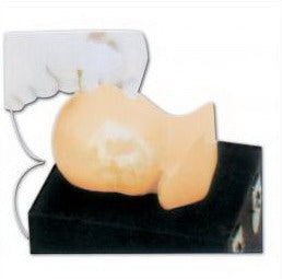 ADVANCED PEDIATRIC HEAD SIMULATOR (SOFT)