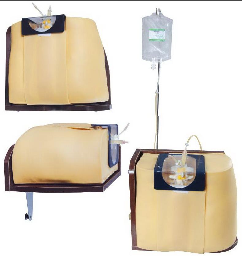 SPINAL INJECTION SIMULATOR (SOFT)