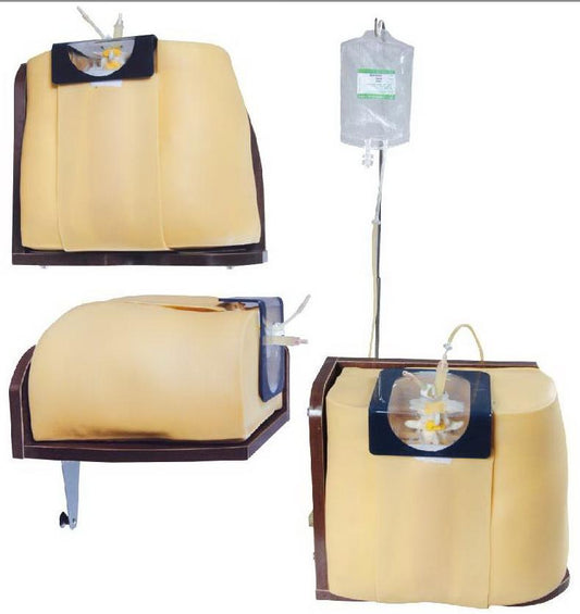 SPINAL INJECTION SIMULATOR (SOFT)